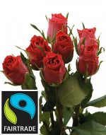 Bezugsquellen © fairtrade.at