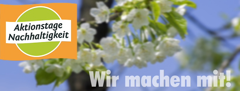 Banner Banner