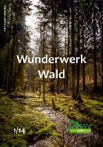 Wunderwerk Wald © AWV Leoben und Pixabay