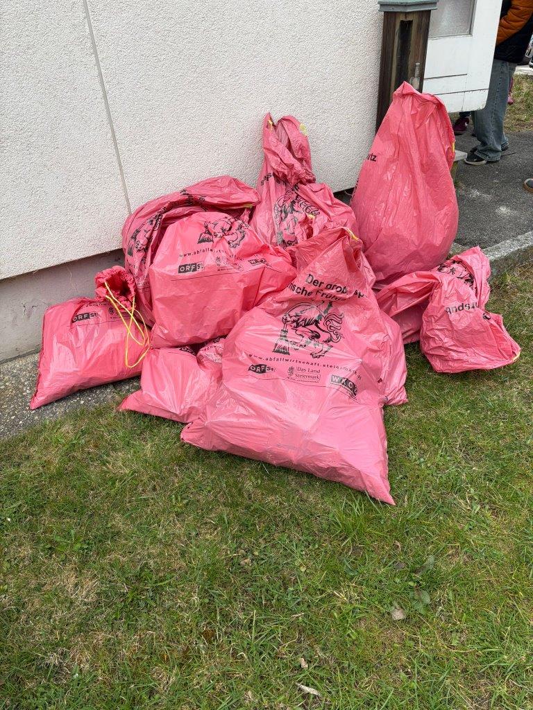 Frühjahrsputz 2026: