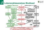 Lebenszyklus Biodiesel
