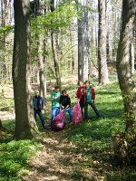 7.Klasse im Wald