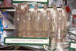 Eine Glasflasche ersetzt 17 PET-Pfandflaschen