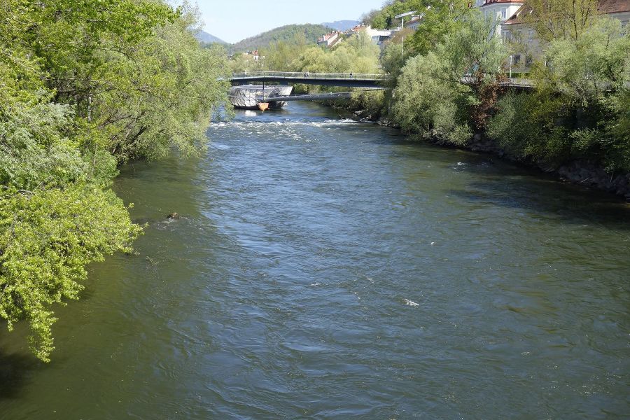 Muruferreinigung in Graz