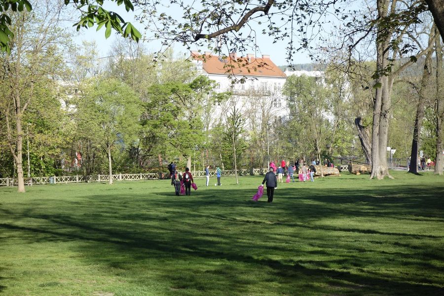 Muruferreinigung in Graz