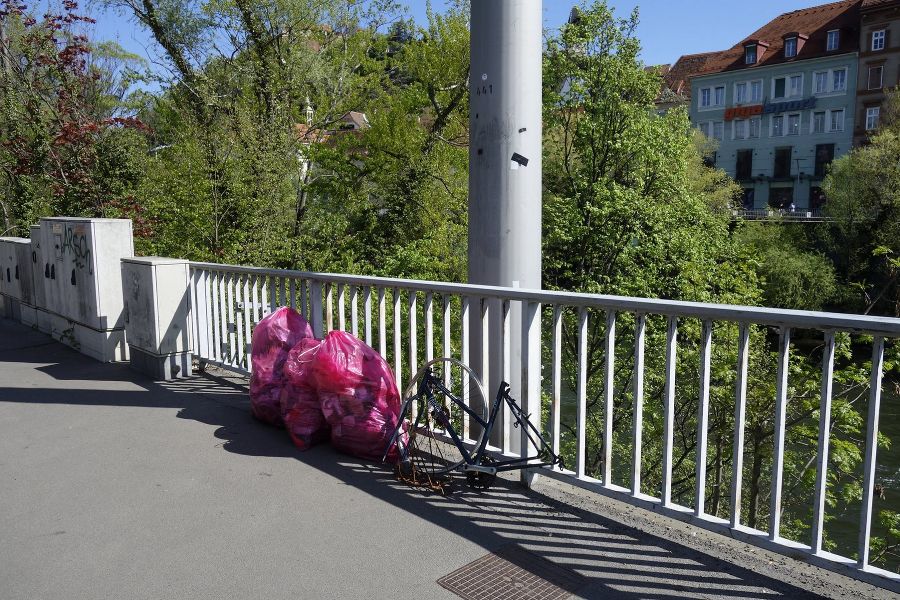 Muruferreinigung in Graz