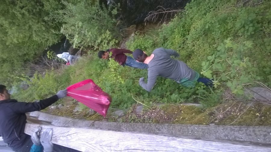 In Köflach waren Asylwerber gemeinsam mit Jugend am Werk unterwegs. In Köflach waren Asylwerber gemeinsam mit Jugend am Werk unterwegs.