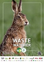 Hase 1
