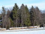 Biomasse © Land Steiermark
