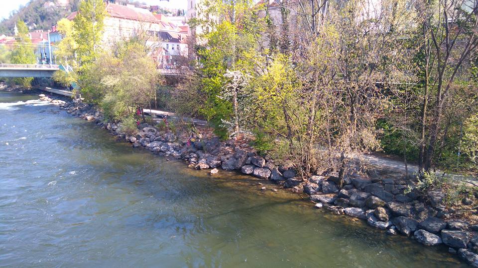 Muruferreinigung Graz Umwelt