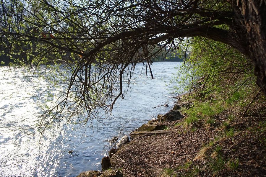 Muruferreinigung Rettet die Mur