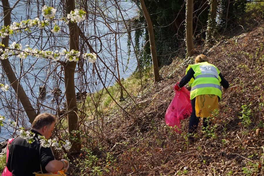 Muruferreinigung Rettet die Mur