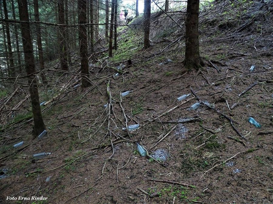 Berg- und Naturwacht in Weißkirchen