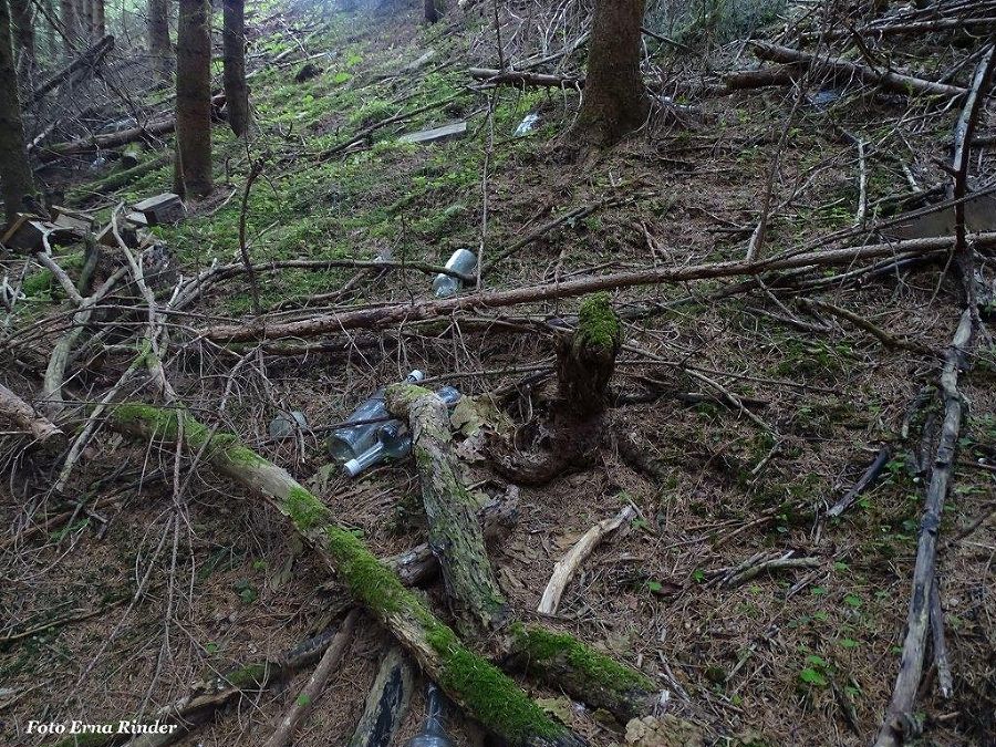 Berg- und Naturwacht in Weißkirchen