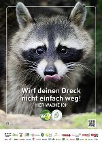 Waschbär