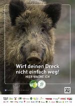 Wildschwein