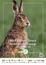 Hase 1