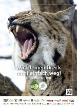 Luchs