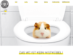 www.denkklobal.at