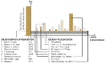 Diagramm: Aufteilung der Gesamtkosten © Philippp Premm