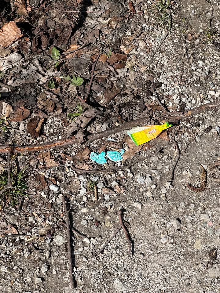 Frühjahrsputz: Frühjahrsputz: